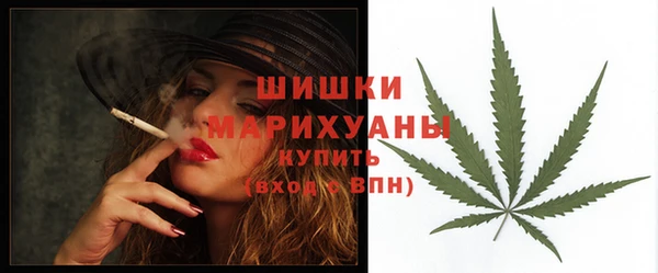 apvp Богданович